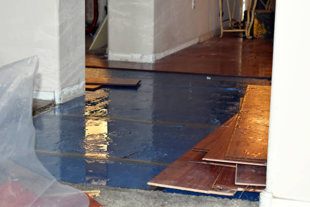 Professional Water Damage Restoration technician working in Cecil, WI